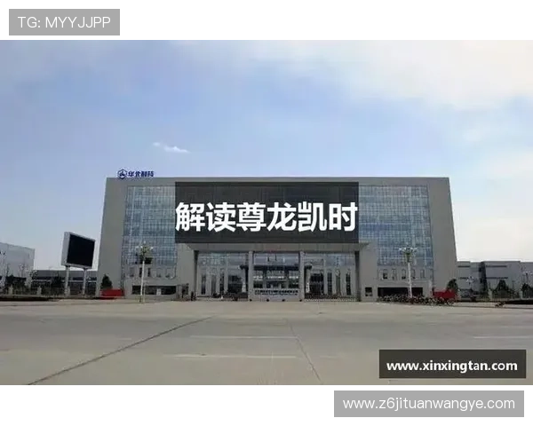 深入了解尊龙凯时数字站的核心优势，打造数字化服务新标准